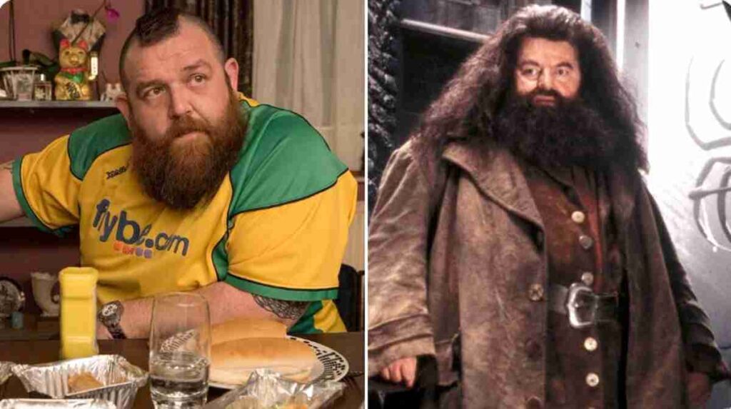 Nick Frost as Hagrid -Harry Potter HBO Series Cast Revealed